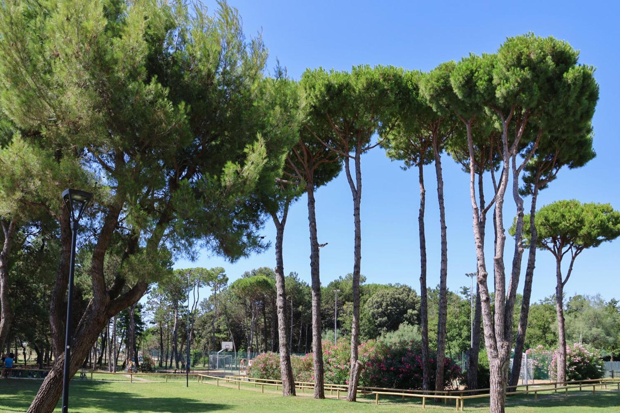 Il Tridente Hotel Bibione Bagian luar foto