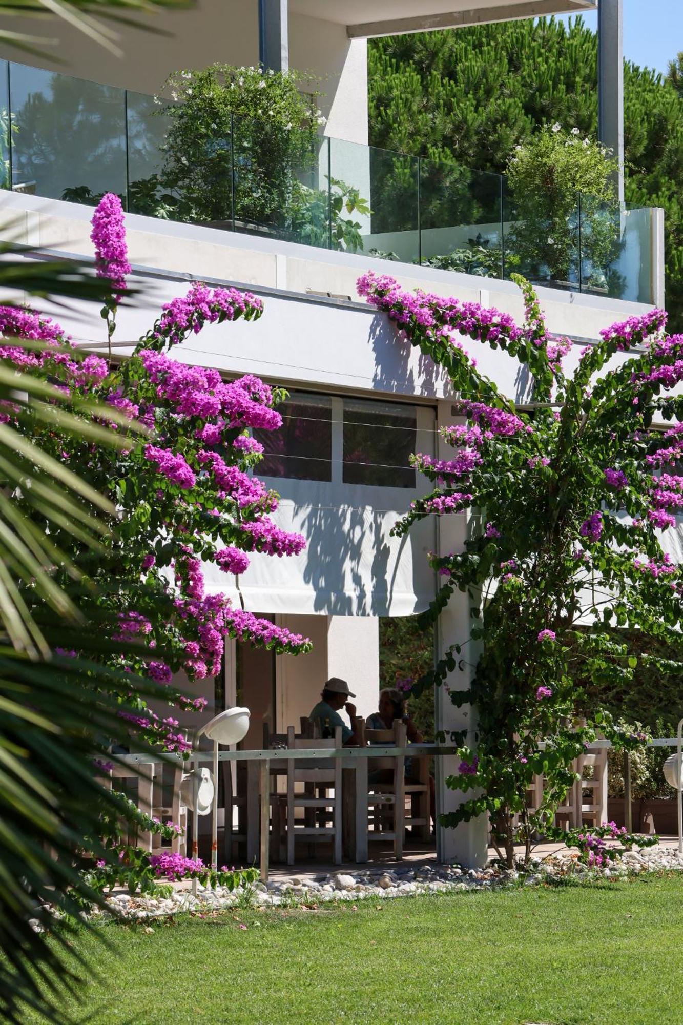 Il Tridente Hotel Bibione Bagian luar foto